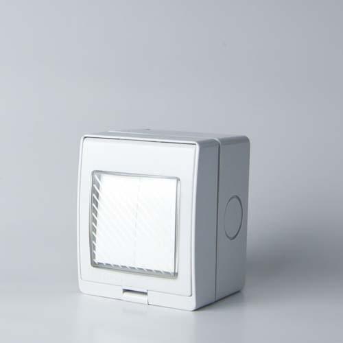 2 Gang Switch 16A 250V #L-2GS